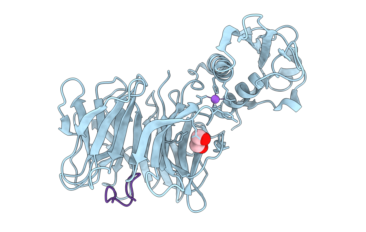 3IAX image