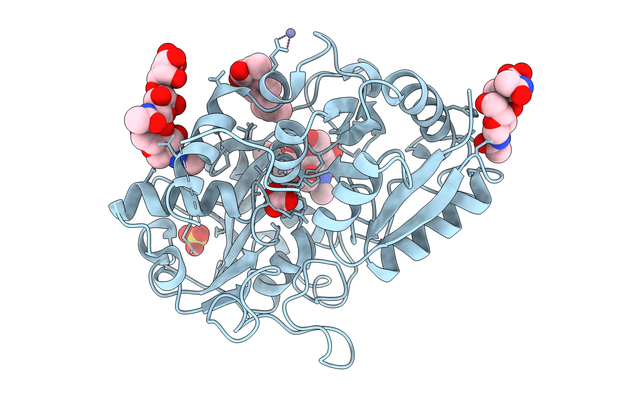 3IB2 image