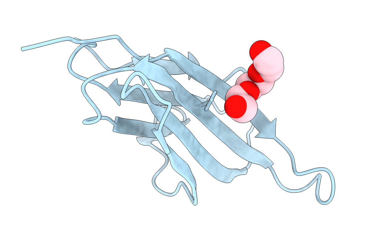 3IB4 image