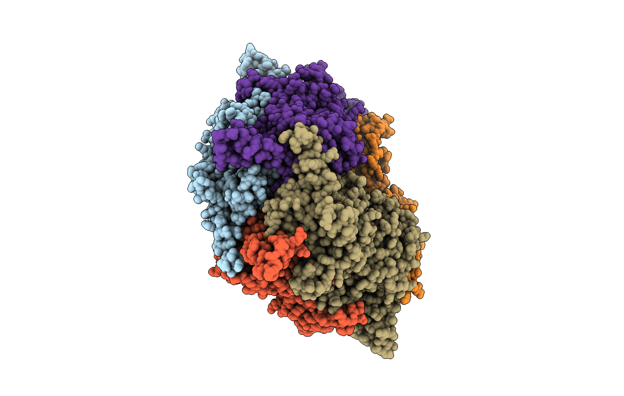 3IBB image