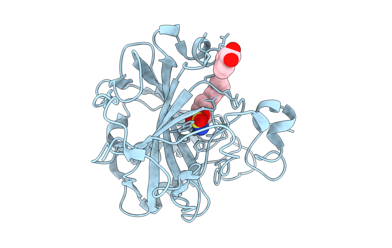 3IBI image