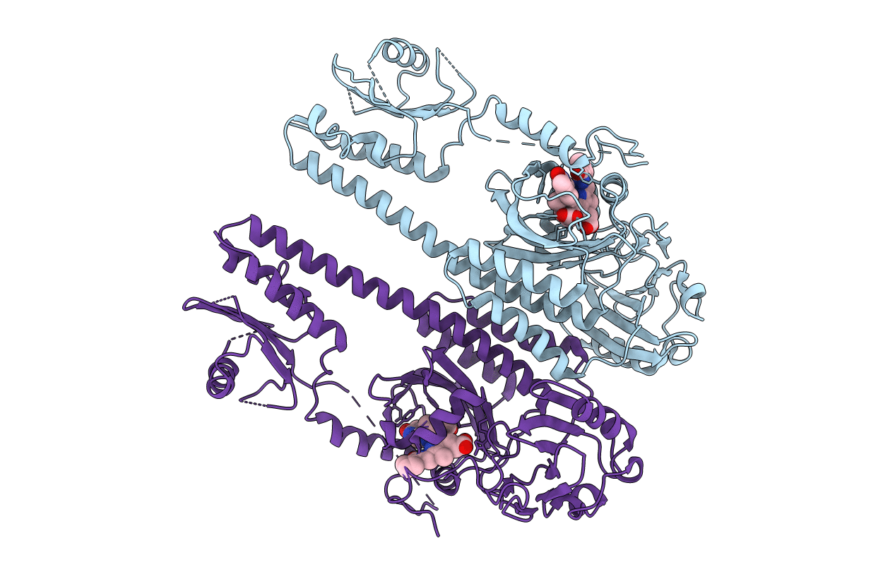 3IBR image