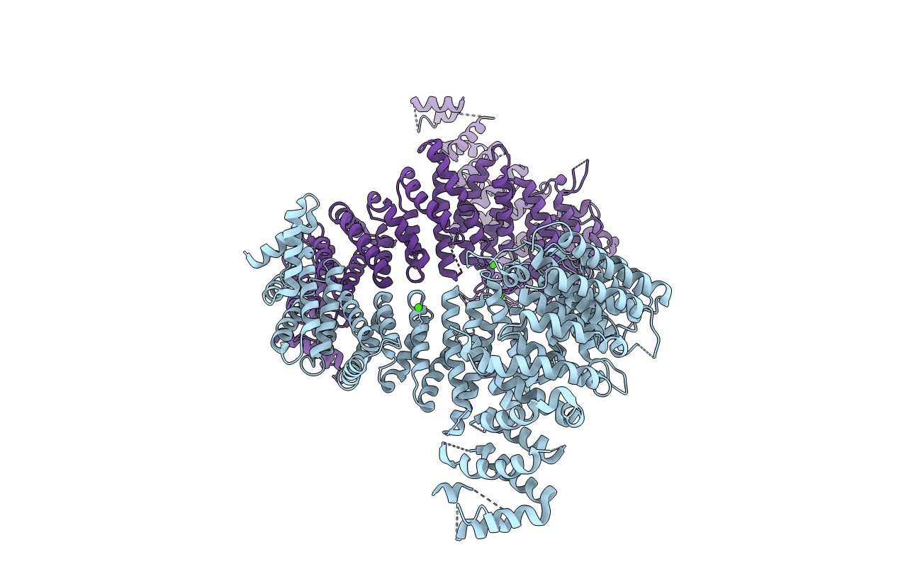 3IBV image