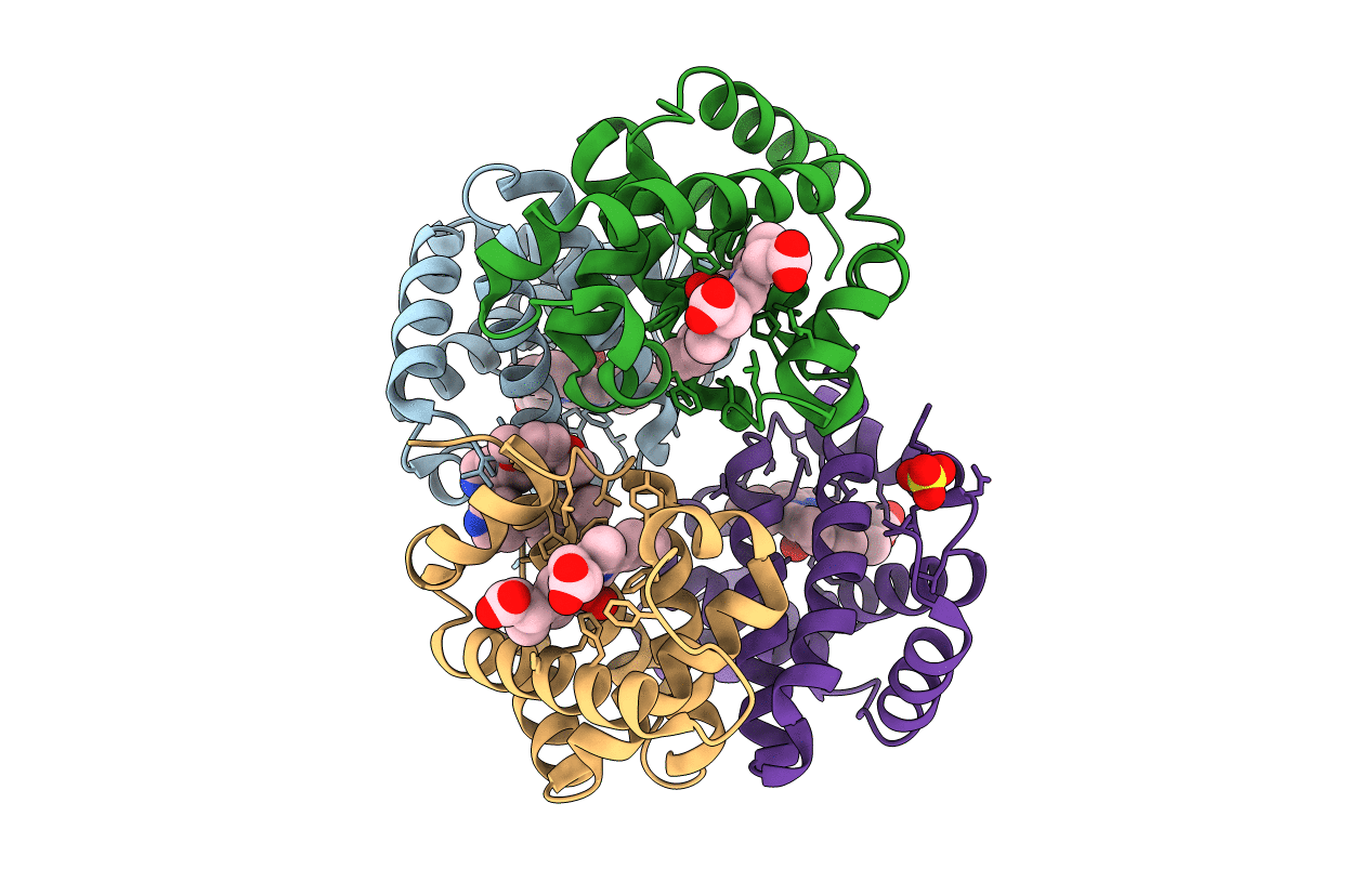 3IC2 image