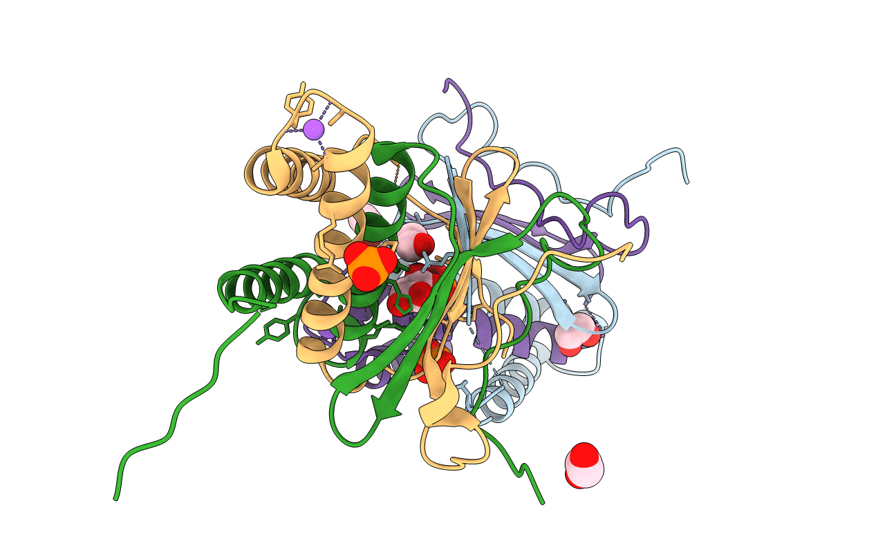 3IC3 image