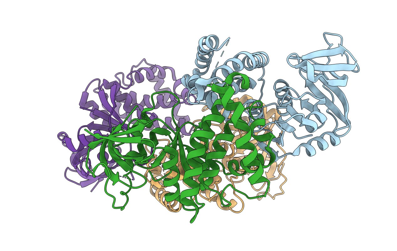 3IC8 image