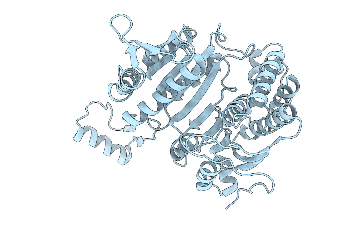 3ICD image