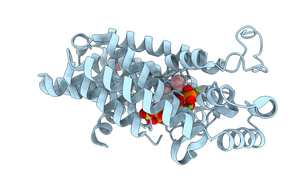 3ICN image
