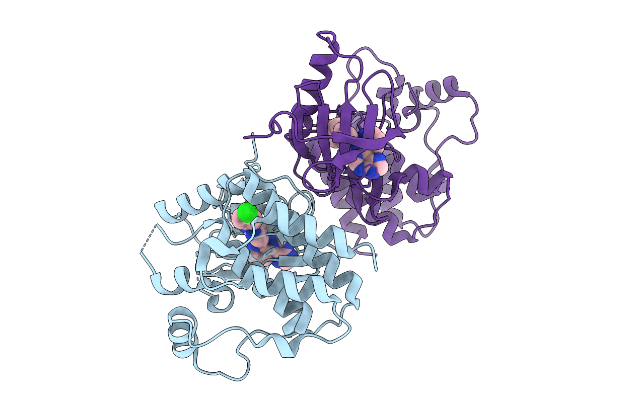 3IDP image