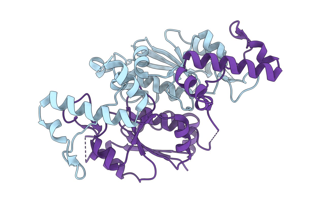 3IEF image