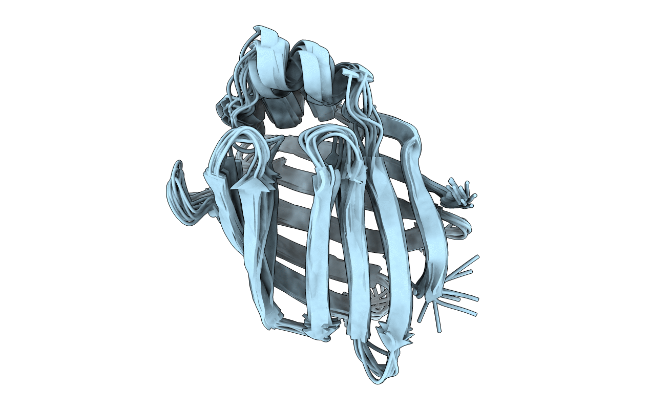 3IFB image