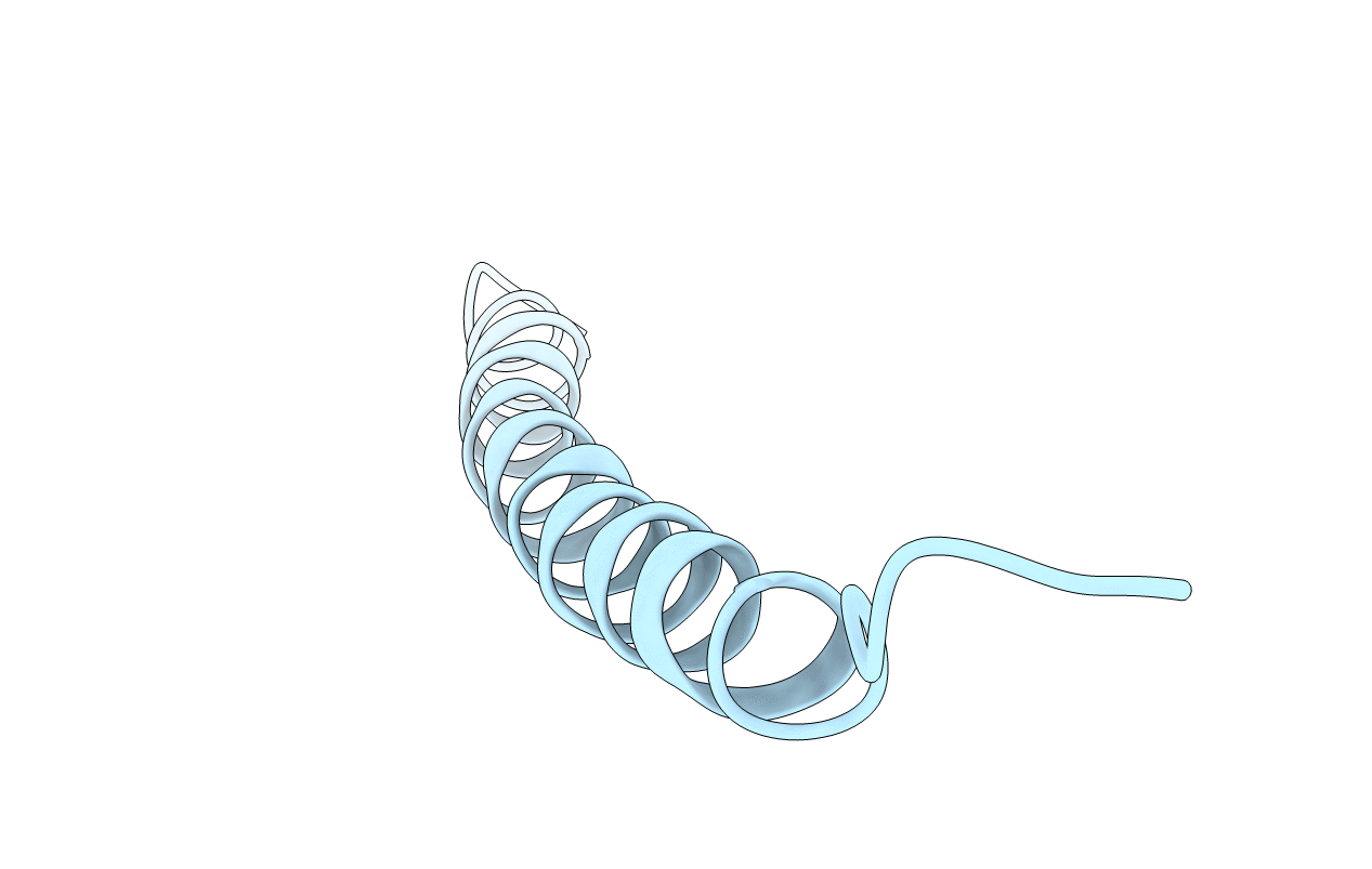 3IFM image
