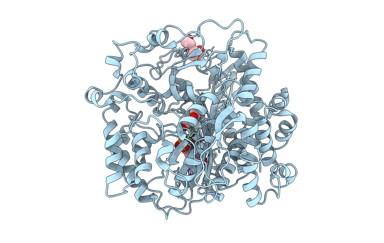 3IG8 image
