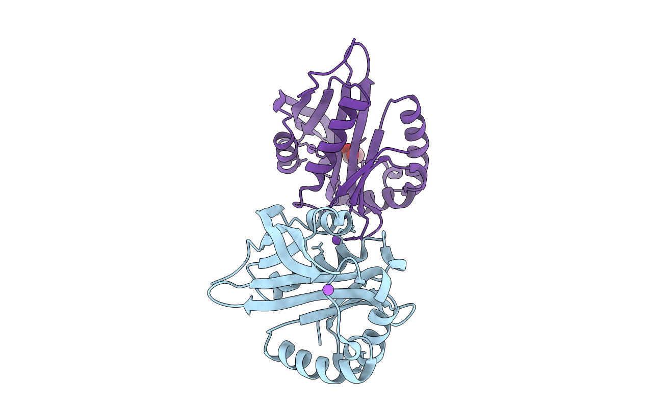 3IGR image
