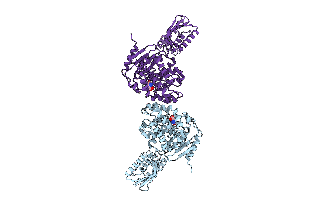 3IHA image