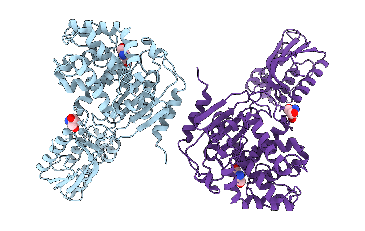 3IHB image