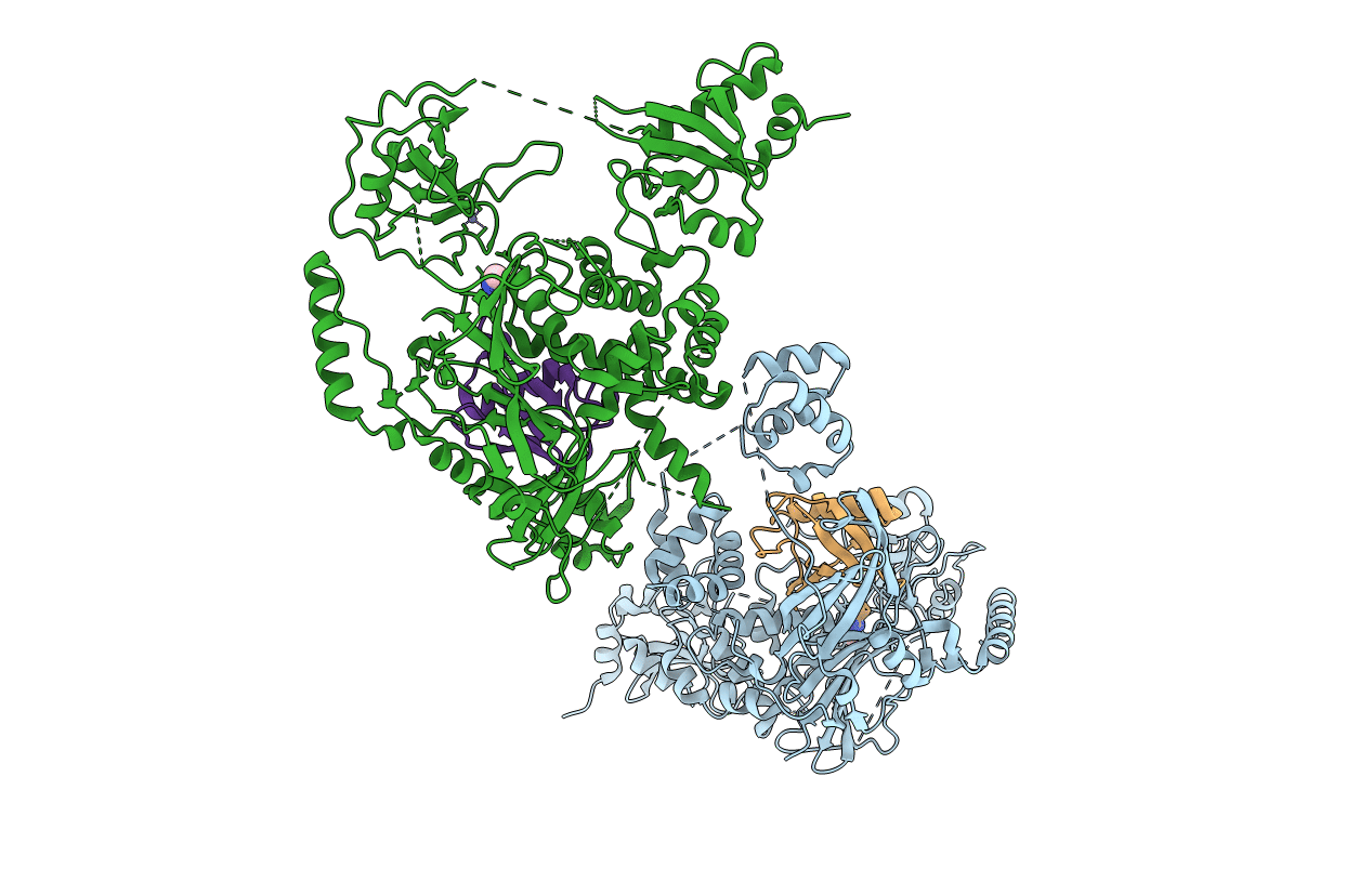 3IHP image