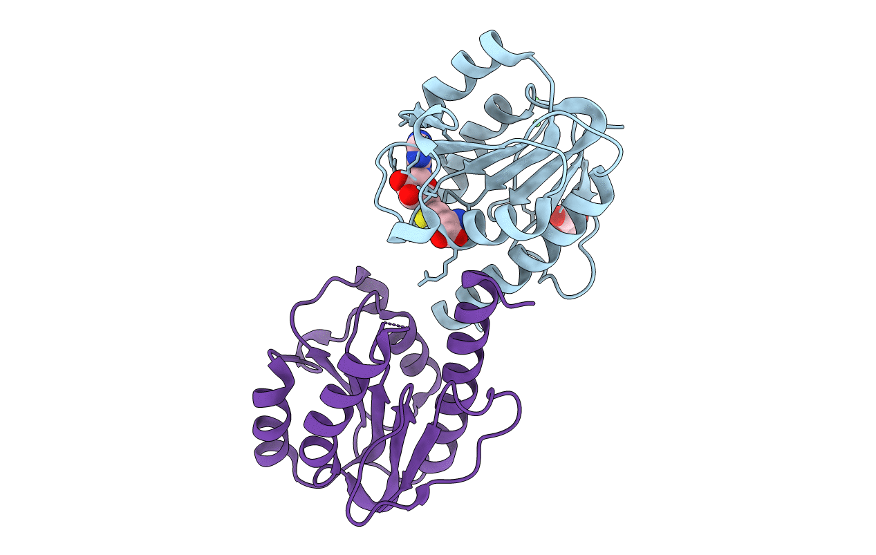 3IHT image