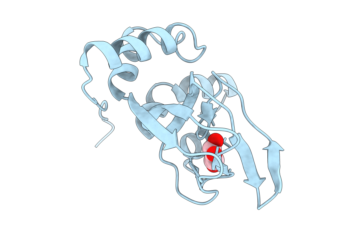 3IIA image