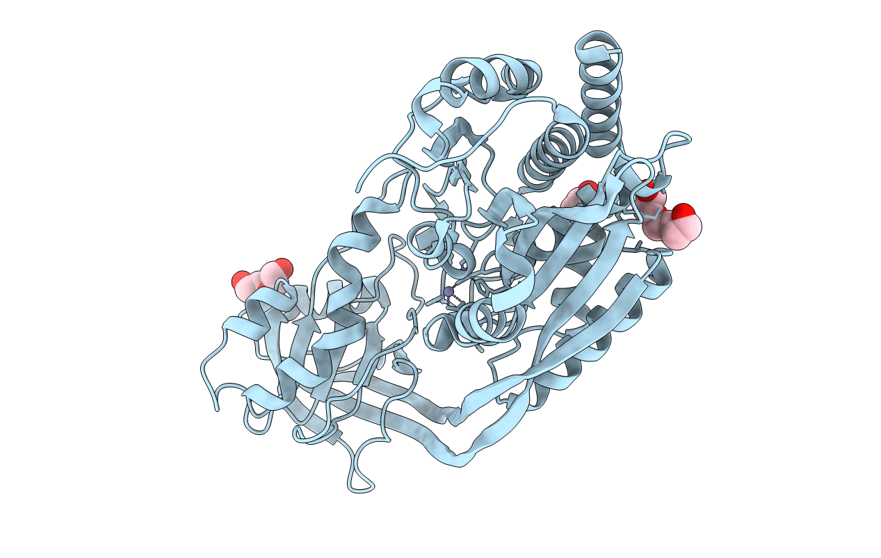 3IIB image