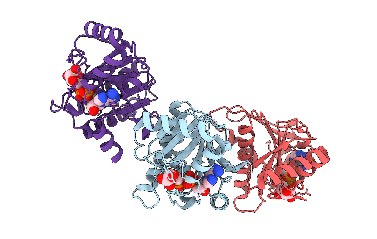 3IIF image