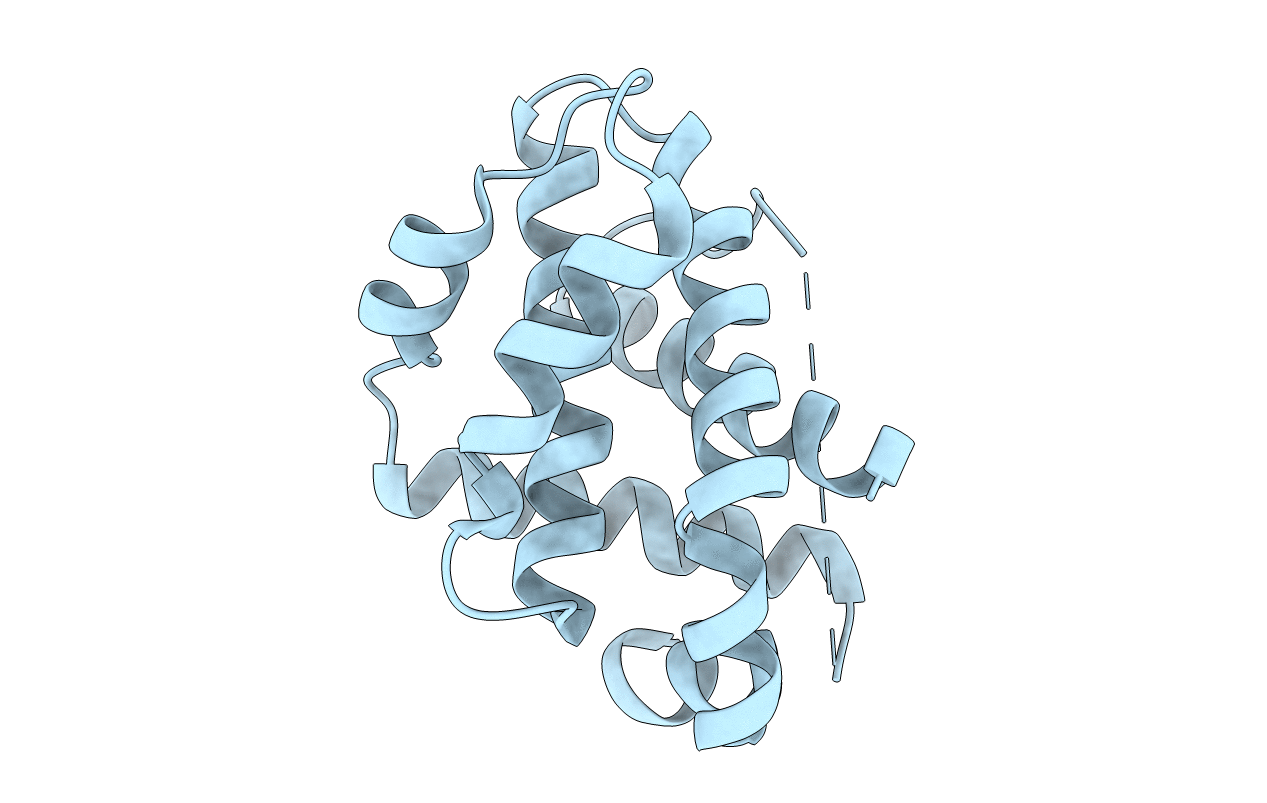 3IIH image