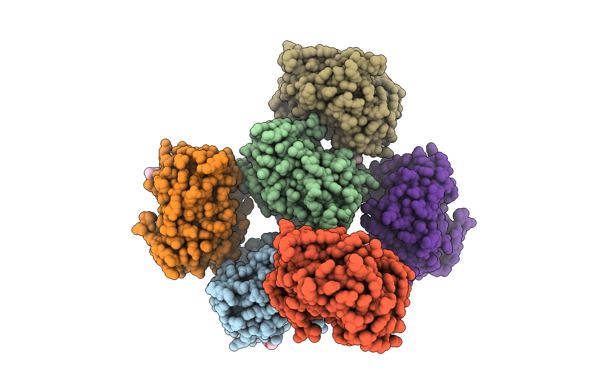 3IIP image