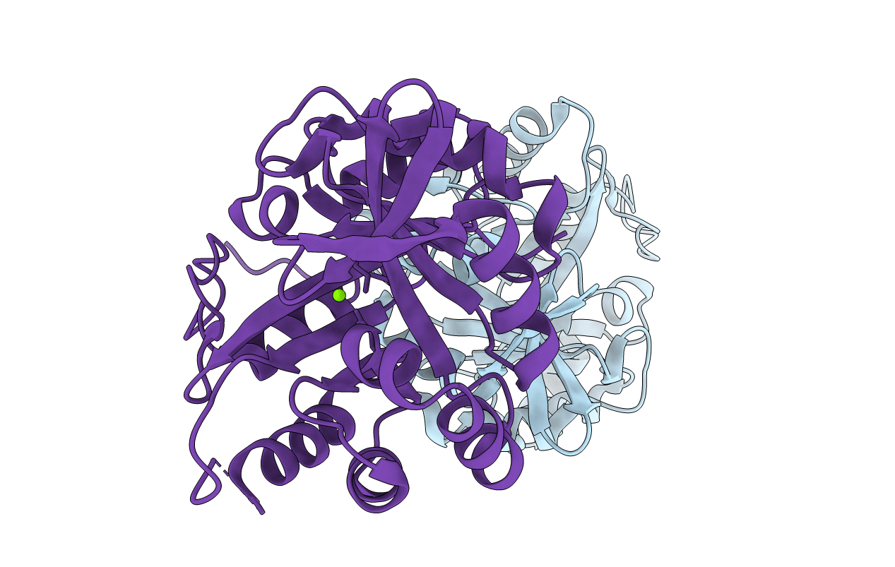 3IIV image
