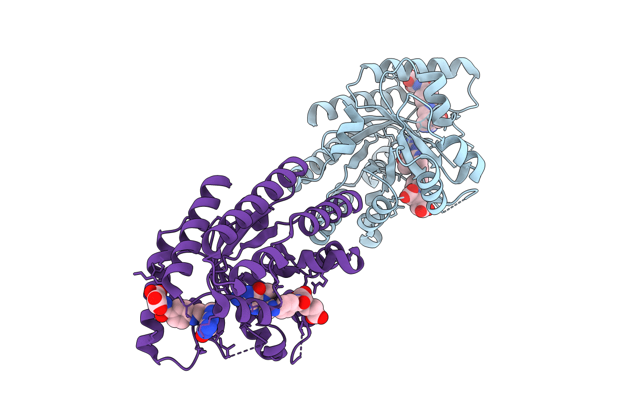 3IJD image