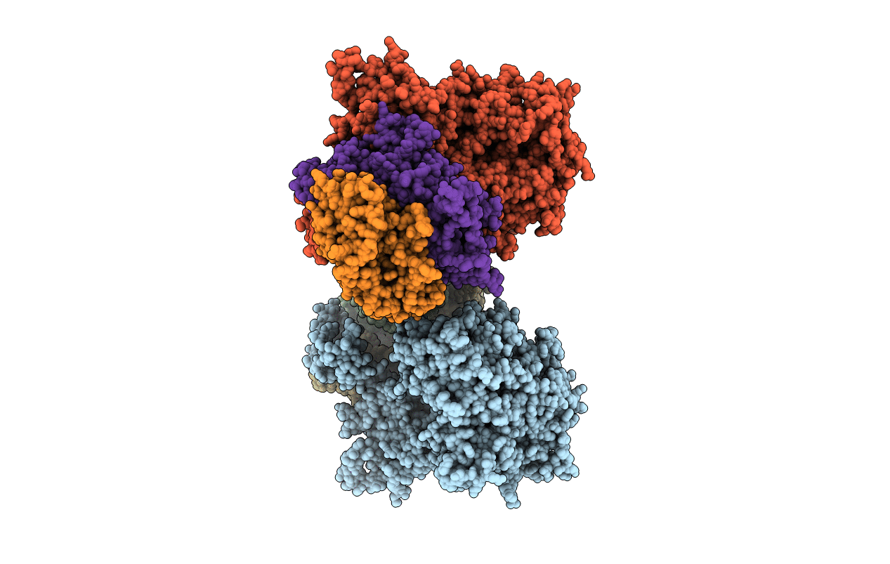 3IKM image