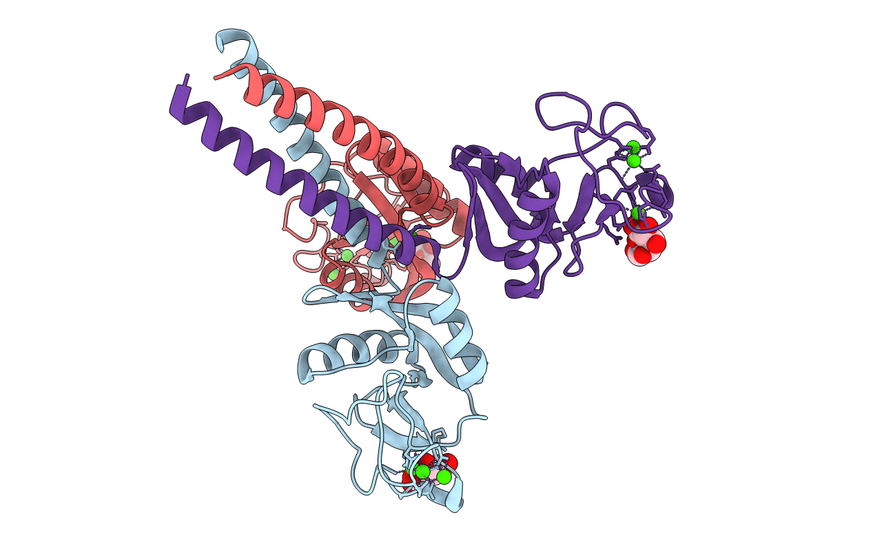 3ikn image