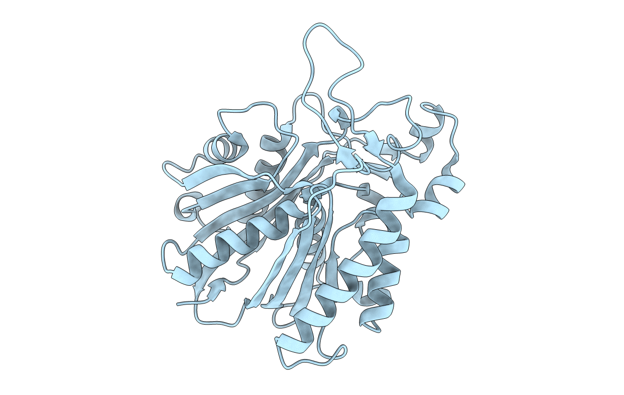 3IL3 image