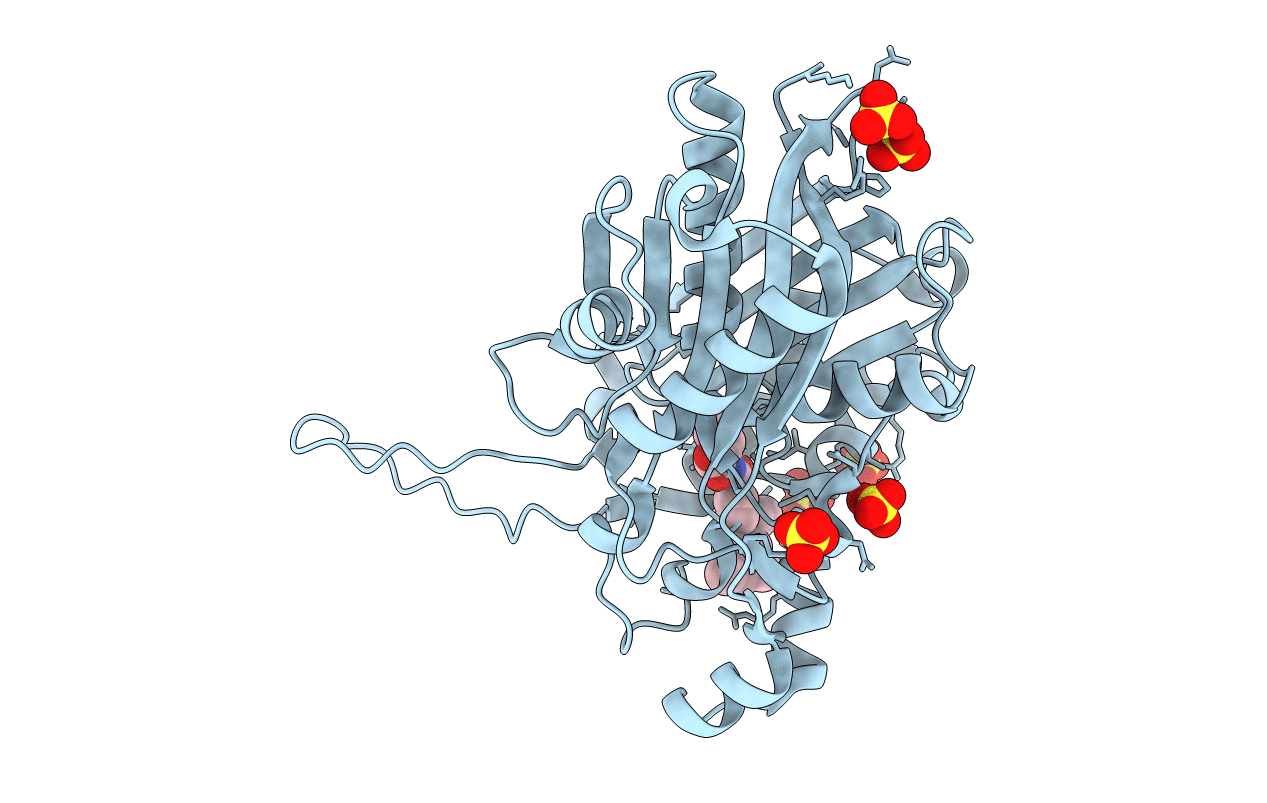3IL6 image