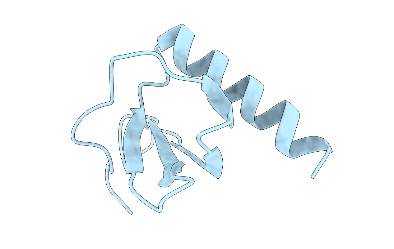 3IL8 image