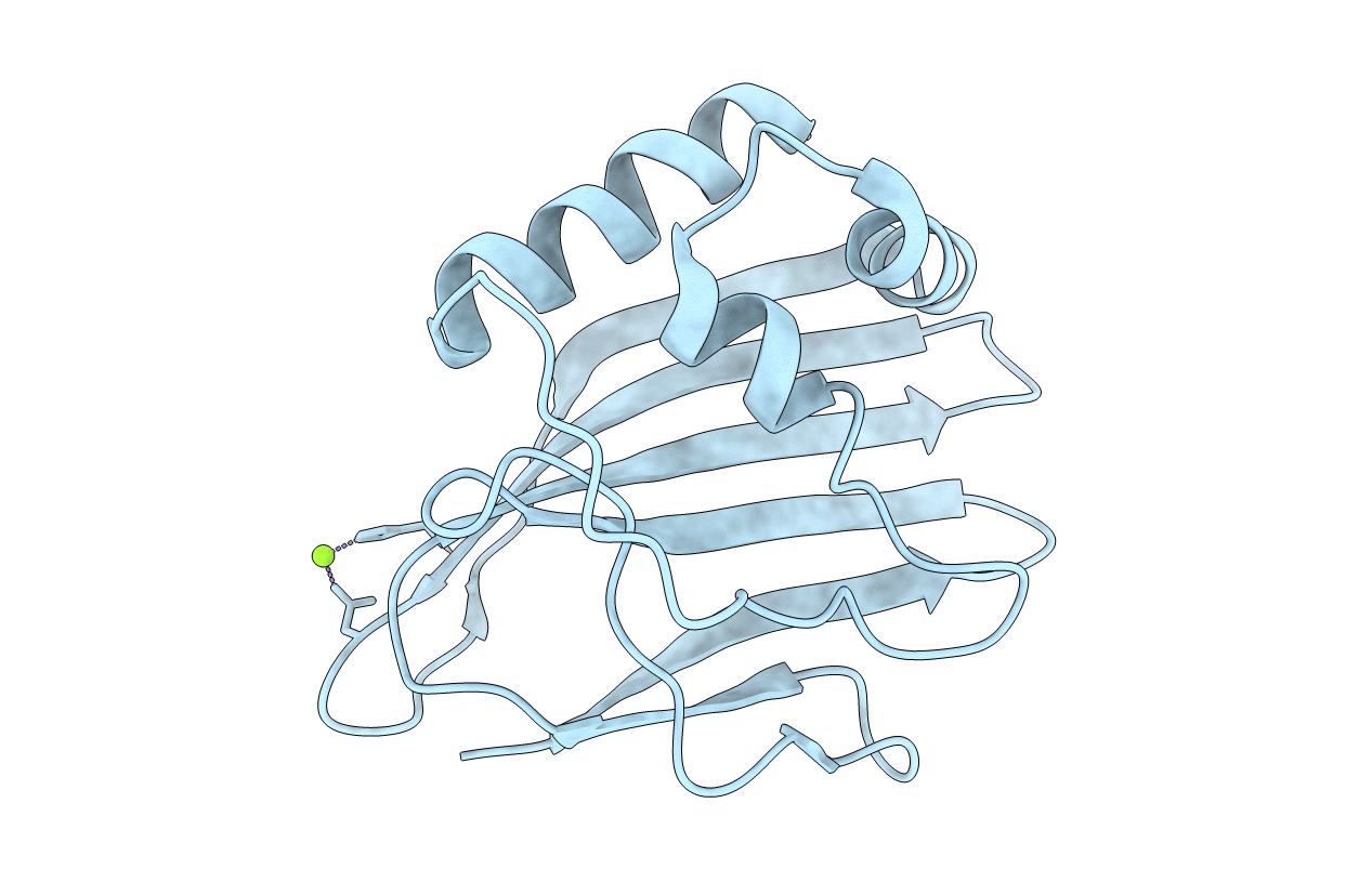 3ILD image