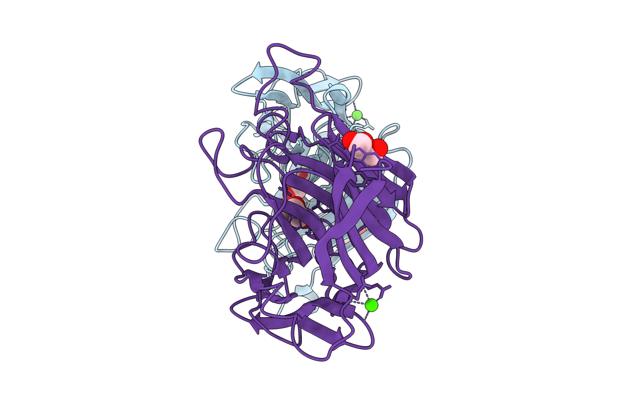 3ILN image