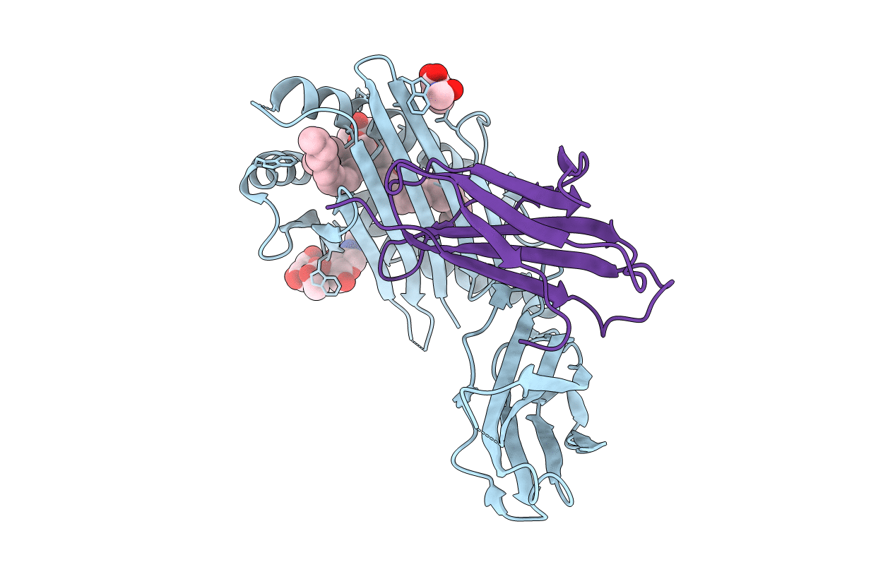 3ILP image