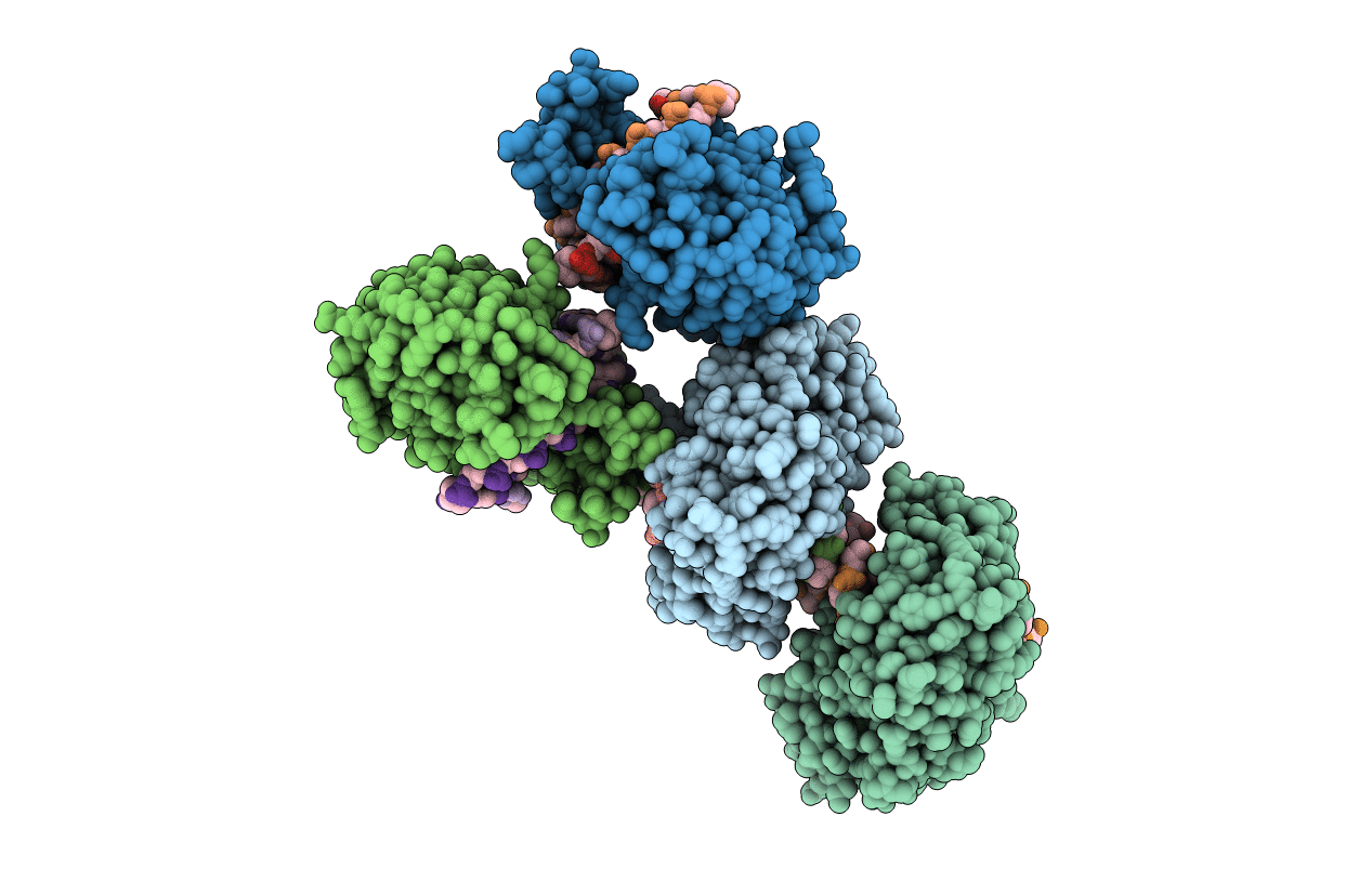3IMB image