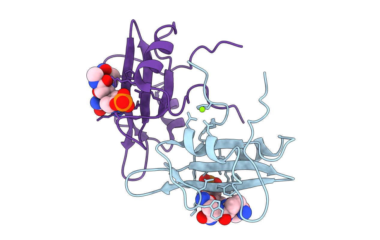 3IMD image