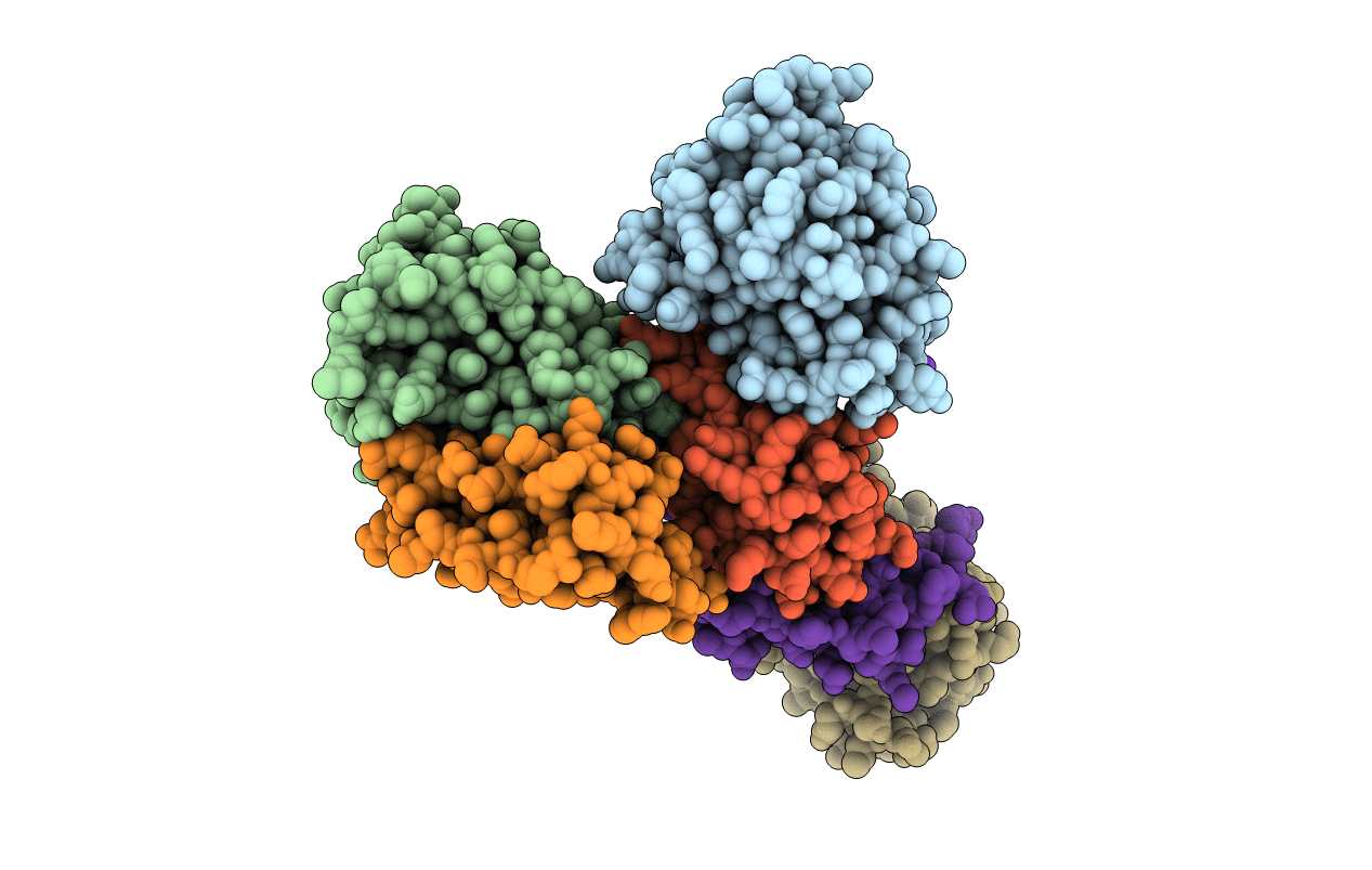 3IMQ image