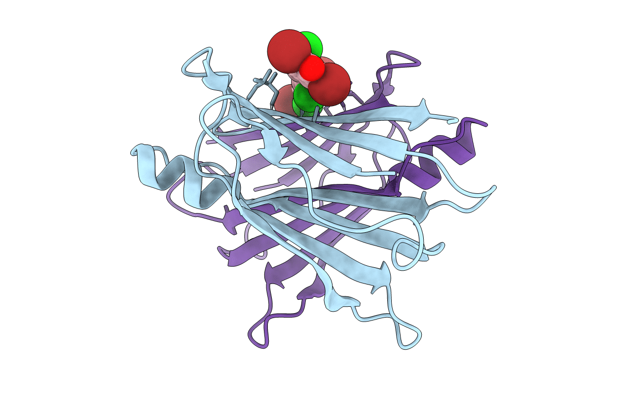 3IMR image
