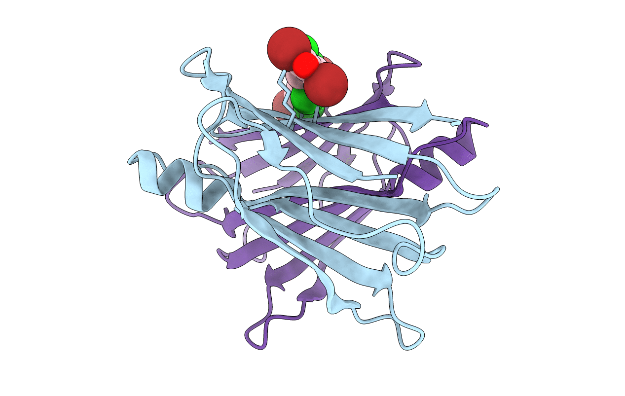 3IMS image