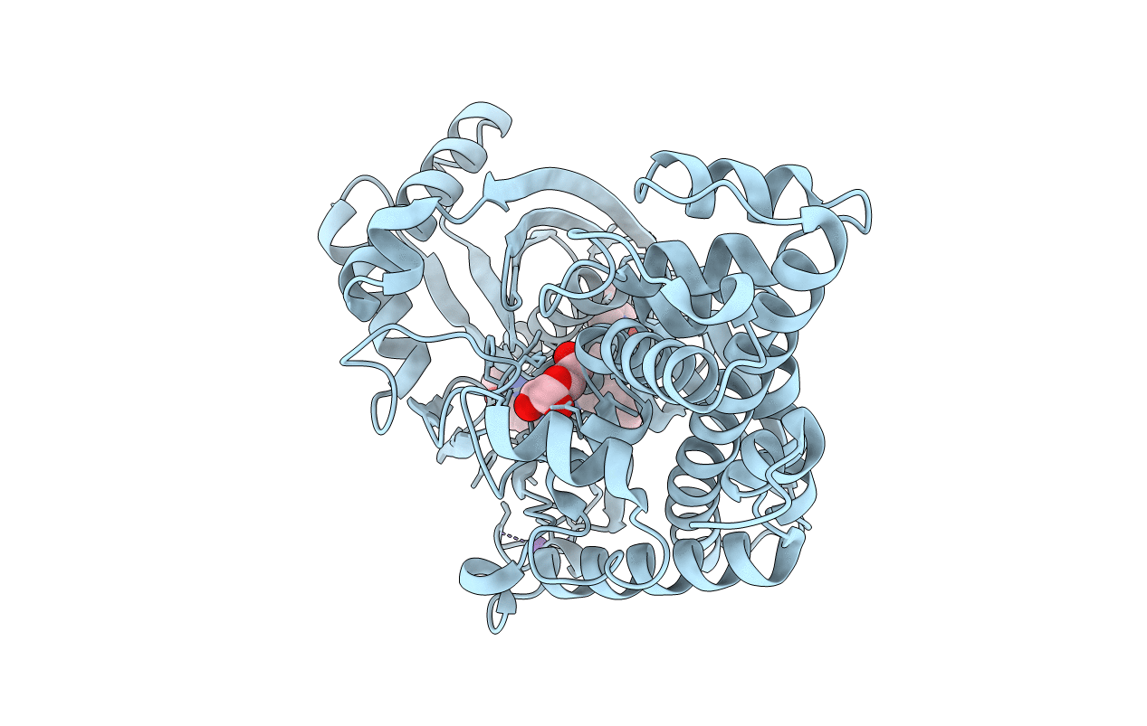 3IMX image