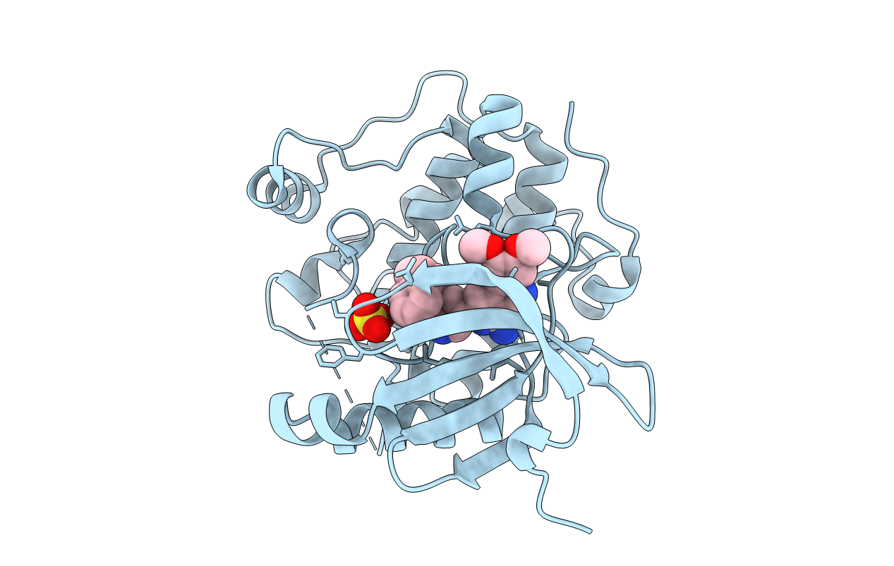 3ION image