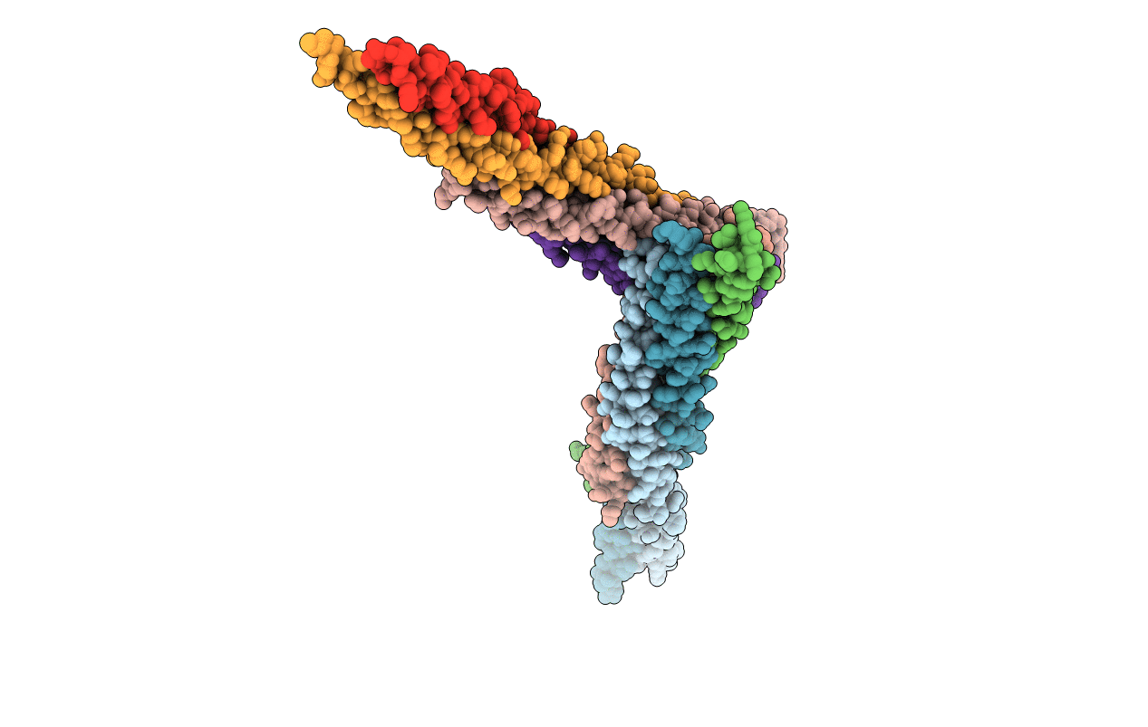 3IPD image