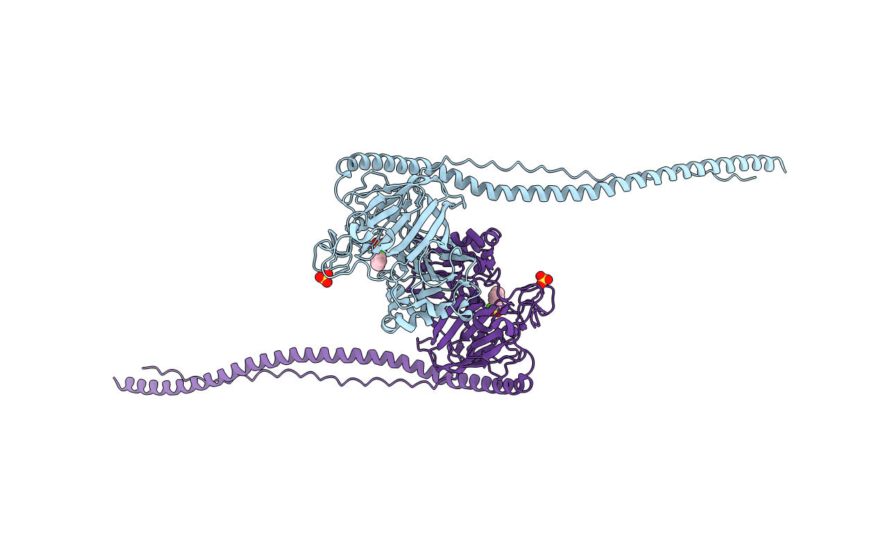 3IPK image