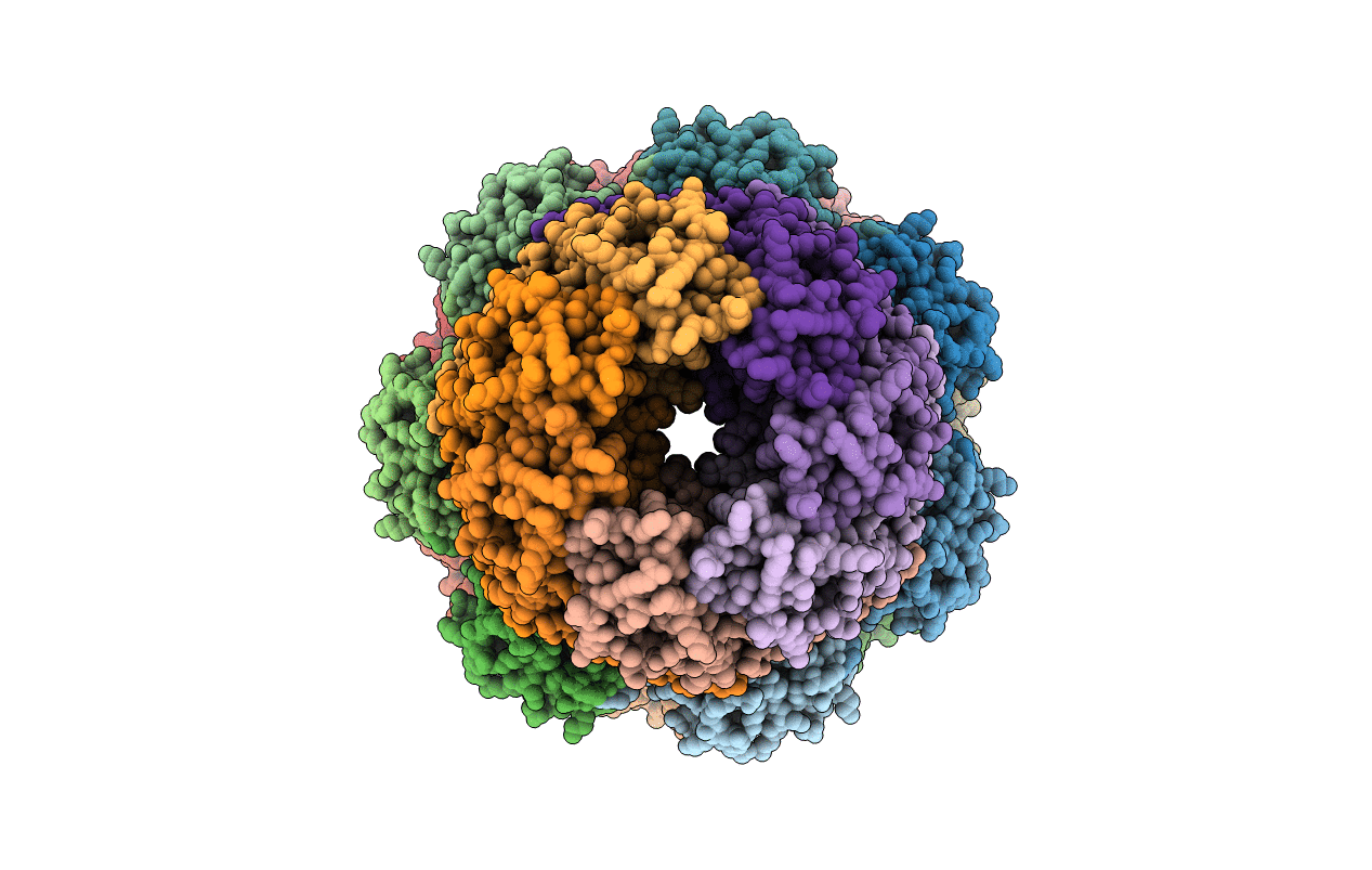 3IPM image