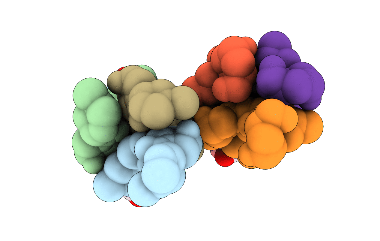 3IPN image