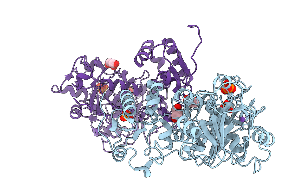 3IPP image