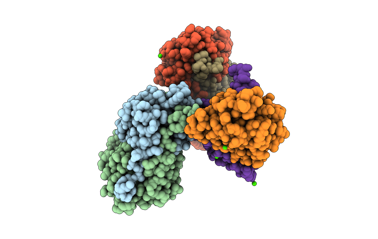 3IPR image